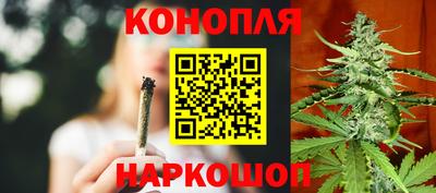 гидра Краснознаменск