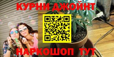 apvp Краснодар