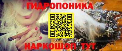 apvp Краснодар
