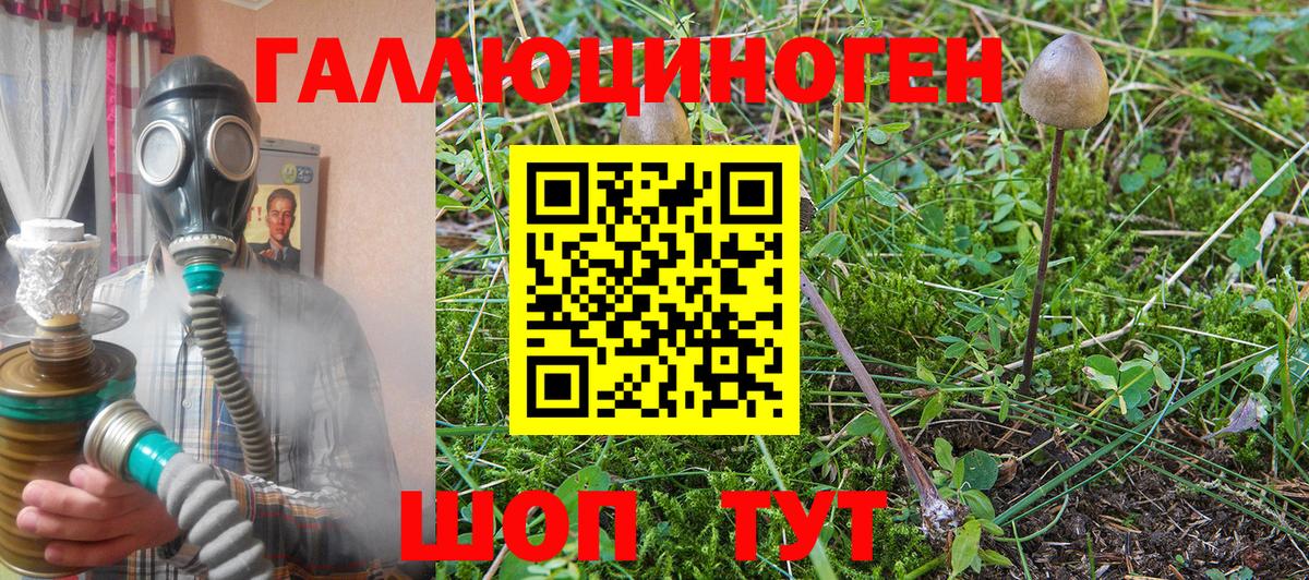 Галлюциногенные грибы Psilocybe  Галлюциногенные грибы Magic Shrooms  где найти наркотики  Зима  Вход с VPN 