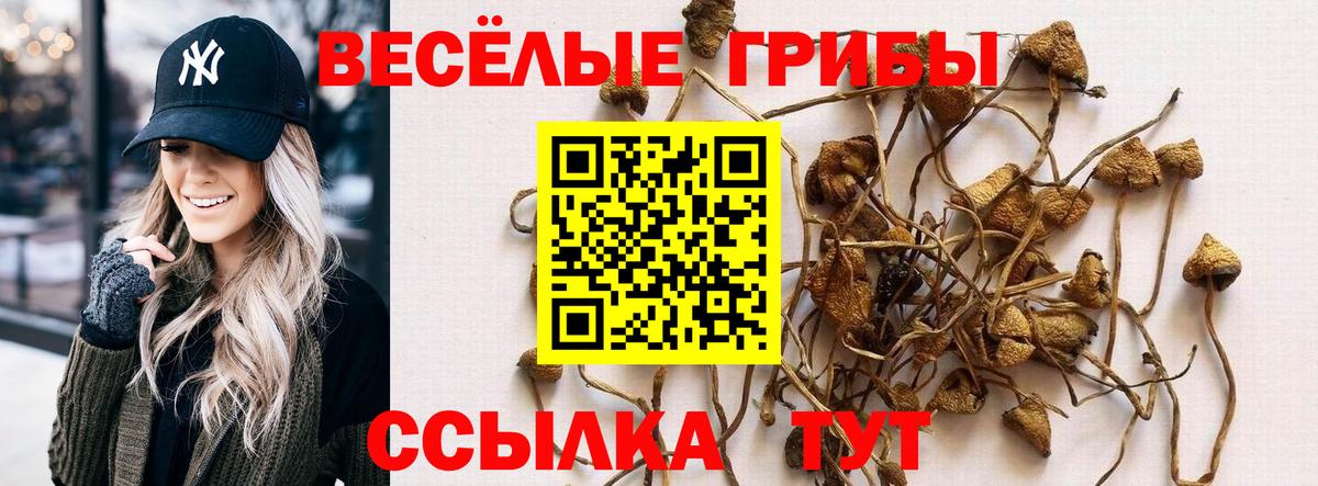 Галлюциногенные грибы мухоморы Зима